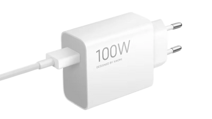 White power adapter with '100W' marking on a white background